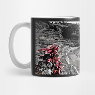 Rizières en terrasse de Banaue, Philippines Mug